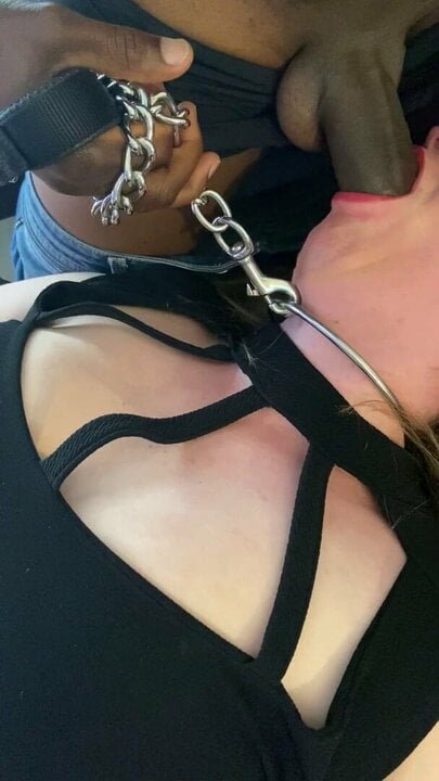 White Milfs Cashapp Interracial Amateur Porn King on Xham.